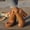 Brown, variant on Caywon Women Gladiator Sandals, Chunky Heel Toe Ring, Ankle Strap Thick Sole Dressy, Comfortable Ladies Shoes Sandalias Cuña Mujer