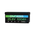 thumbnail image 1 of Batería LiFePO4 Dyness 24 V 100 Ah 2560 W con BMS 20,48 kWh, 1 of 8