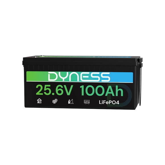 Batería LiFePO4 Dyness 24 V 100 Ah 2560 W con BMS 20,48 kWh