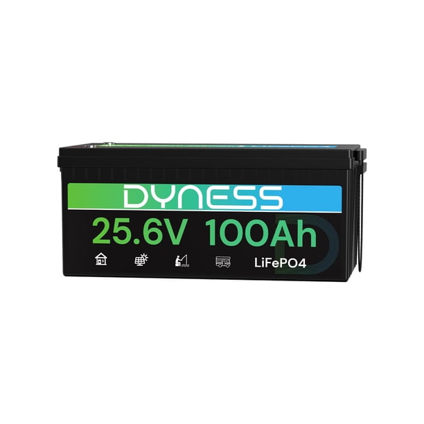 Batería LiFePO4 Dyness 24 V 100 Ah 2560 W con BMS 20,48 kWh