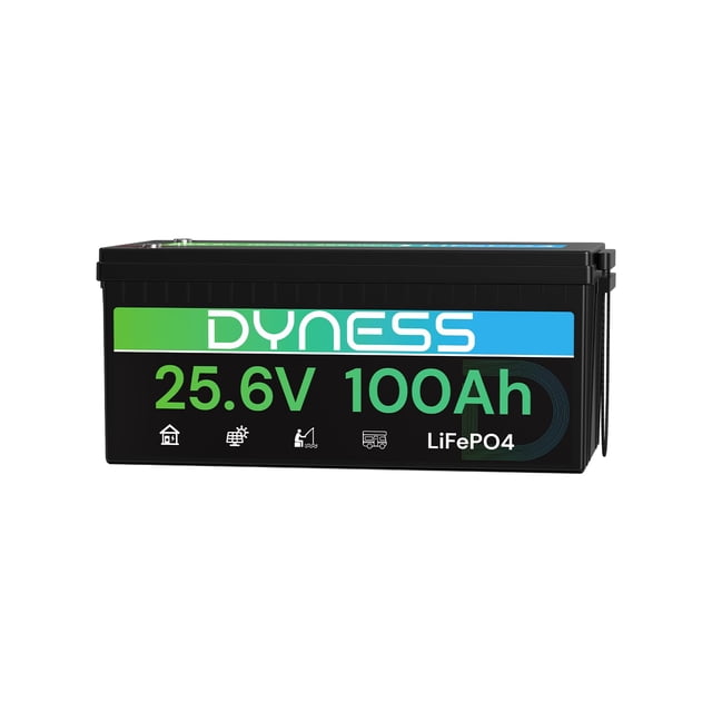 Batería LiFePO4 Dyness 24 V 100 Ah 2560 W con BMS 20,48 kWh