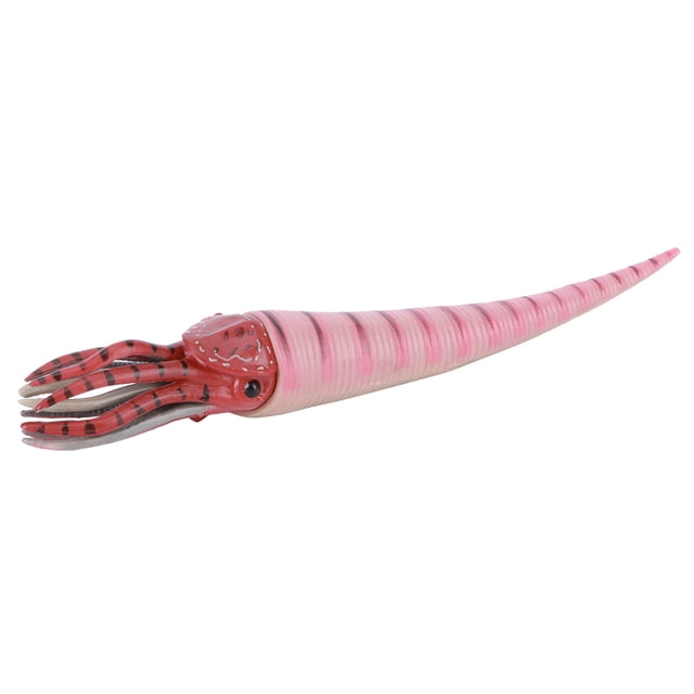 Simulation Orthoceras Model Ornaments Desktop Decoration Ornament Children Toy(PL127‑1526 )