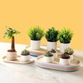 thumbnail image 4 of Plant Drip Tray 14.8 Inch Elliptical Saucers, Garden Home Plastics Potted Pallet, 4 of 4