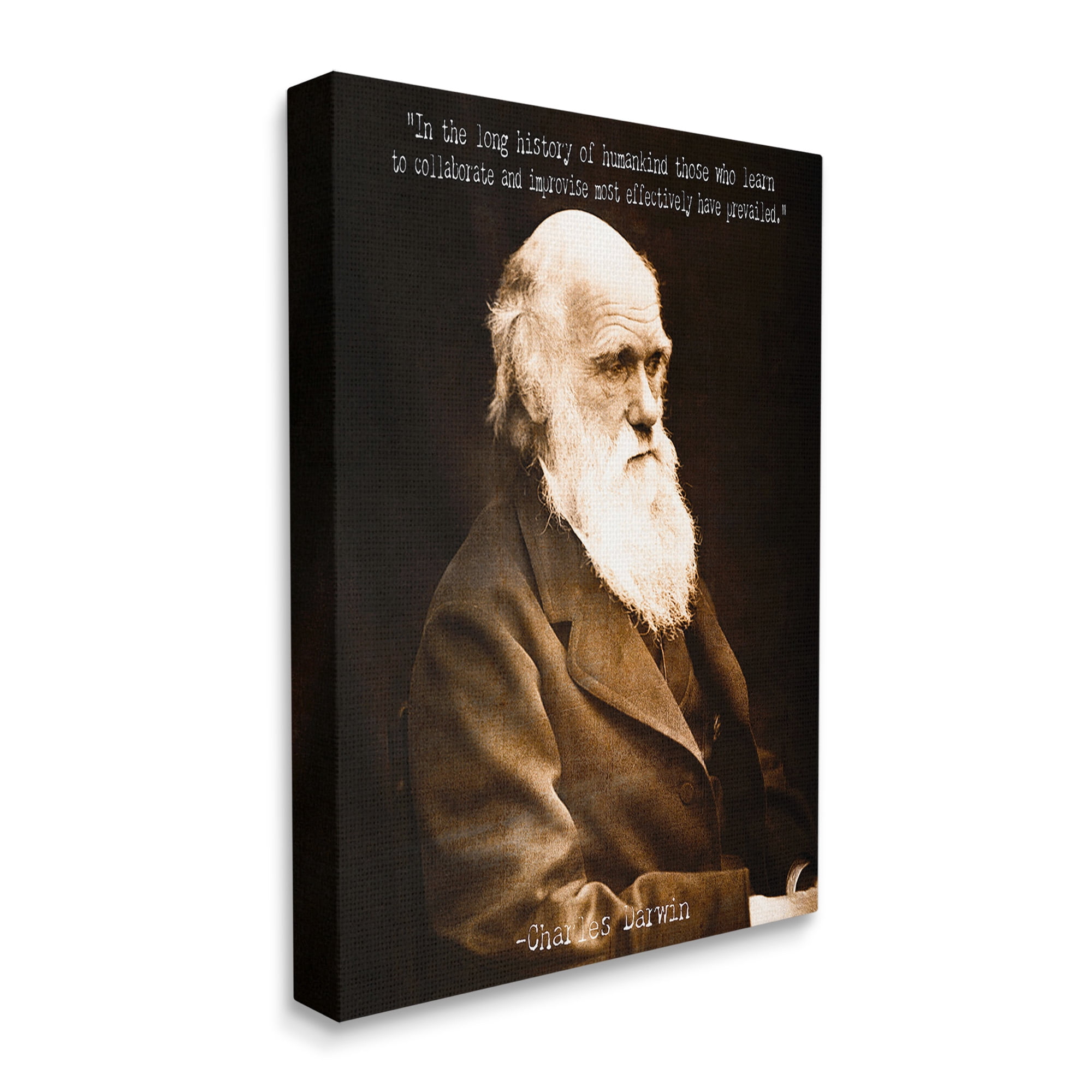 Stupell Industries Inspiring Darwin Quote Inspirational Painting Gallery Wrapped Canvas Art Print Wall Art, 16 x 20
