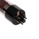 thumbnail image 4 of Tubo de 1 Pieza 6V6GT 6P6P 6L6 para Amplificador Electrónica Oficina Papelería Videojuegos Gloria Tubo de vacío 6V6GT 6P6P 6L6, 4 of 8