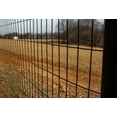 thumbnail image 4 of Trident Fence 4' x 50' 14ga. Welded Wire Fence Roll Black PVC Coated - 2" x 4" Mesh, 4 of 4