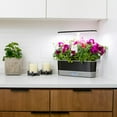 thumbnail image 4 of AeroGarden Harvest Elite Slim, Platinum with Gourmet Herbs Seed Kit, 4 of 10