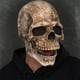 thumbnail image 5 of Máscara con forma de calavera CosRibe, espeluznante mandíbula móvil, látex, para Halloween, gris, 5 of 8