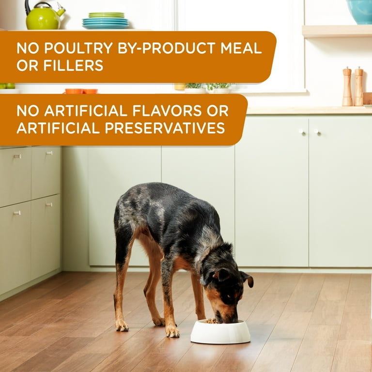 buy purina pro plan dog food Purina Pro Plan FOCUS Classic Chicken & Rice Entree Wet Puppy Food