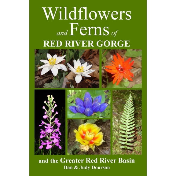 Wildflowers and Ferns of Red River Gorge and the Greater Red River Basin, (Paperback)