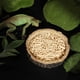 thumbnail image 3 of Paquete de 2 cuencos para comida de reptiles Vhermosa cuencos de agua y comida, 3 of 4