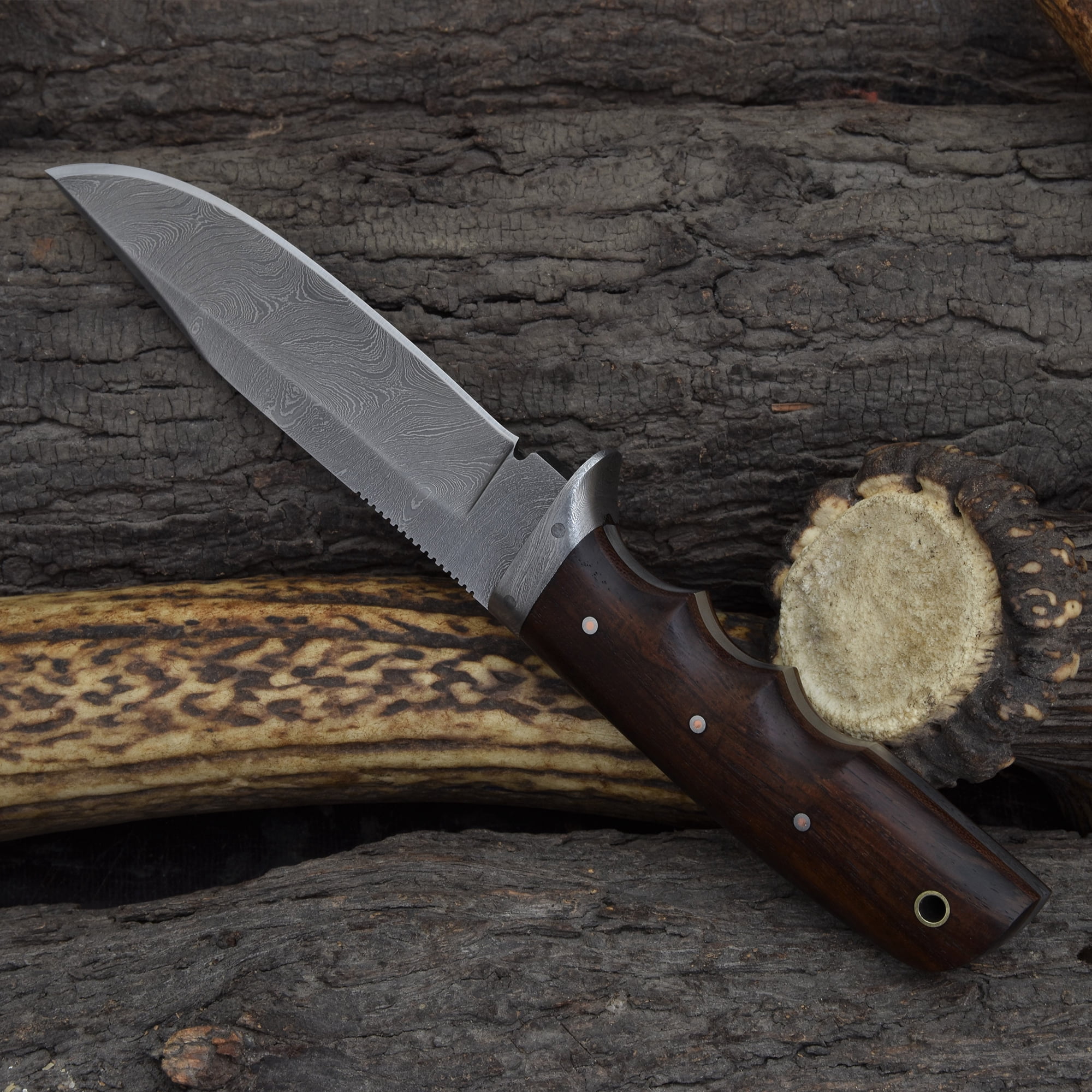 Knives Ranch 2151 Damascus Steel Hunting Knife with Rosewood Handle – Fixed Blade Utility Knife, Sharp Camping, Outdoor & Everyday Carry Knife