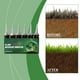 thumbnail image 4 of Solución nutritiva para el crecimiento de plantas en maceta. Fertilizante para plantas verdes. Suplemento de nutrientes para el mantenimiento diario. 90 ml., 4 of 9