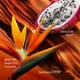 thumbnail image 3 of Perfume Escada Bali Paradise Eau de Toilette para mujer, 10 ml, 3 of 7