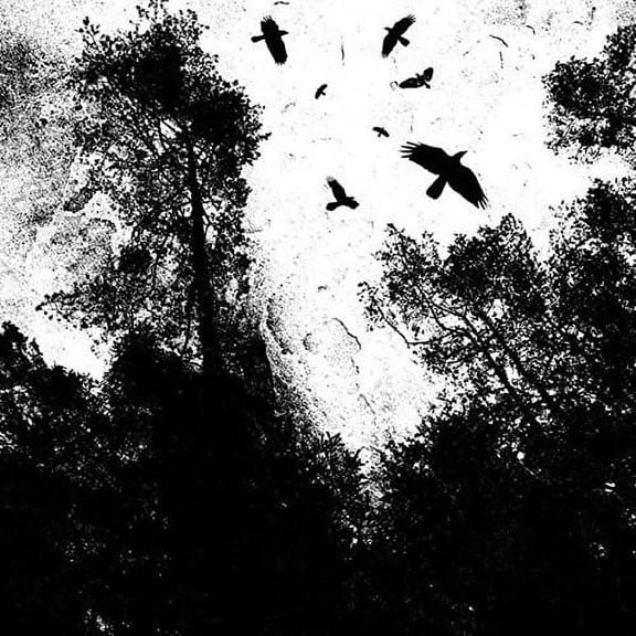 Autumn's Dawn - Gone - Rock - CD