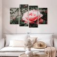 thumbnail image 2 of Elephant Stock Pink Rose Wall Art - Horizontal Multi Panel Canvas - Living Room Wall Decor - Floral And Botanical Multi Panel - Gray And Pink Decor - 52" x 32", 2 of 4