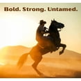 thumbnail image 4 of Avon Wild Country Cologne for Men, Crisp and Fresh Aromatic Men's Cologne Spray, 3 fl oz 2-Pack, 4 of 9