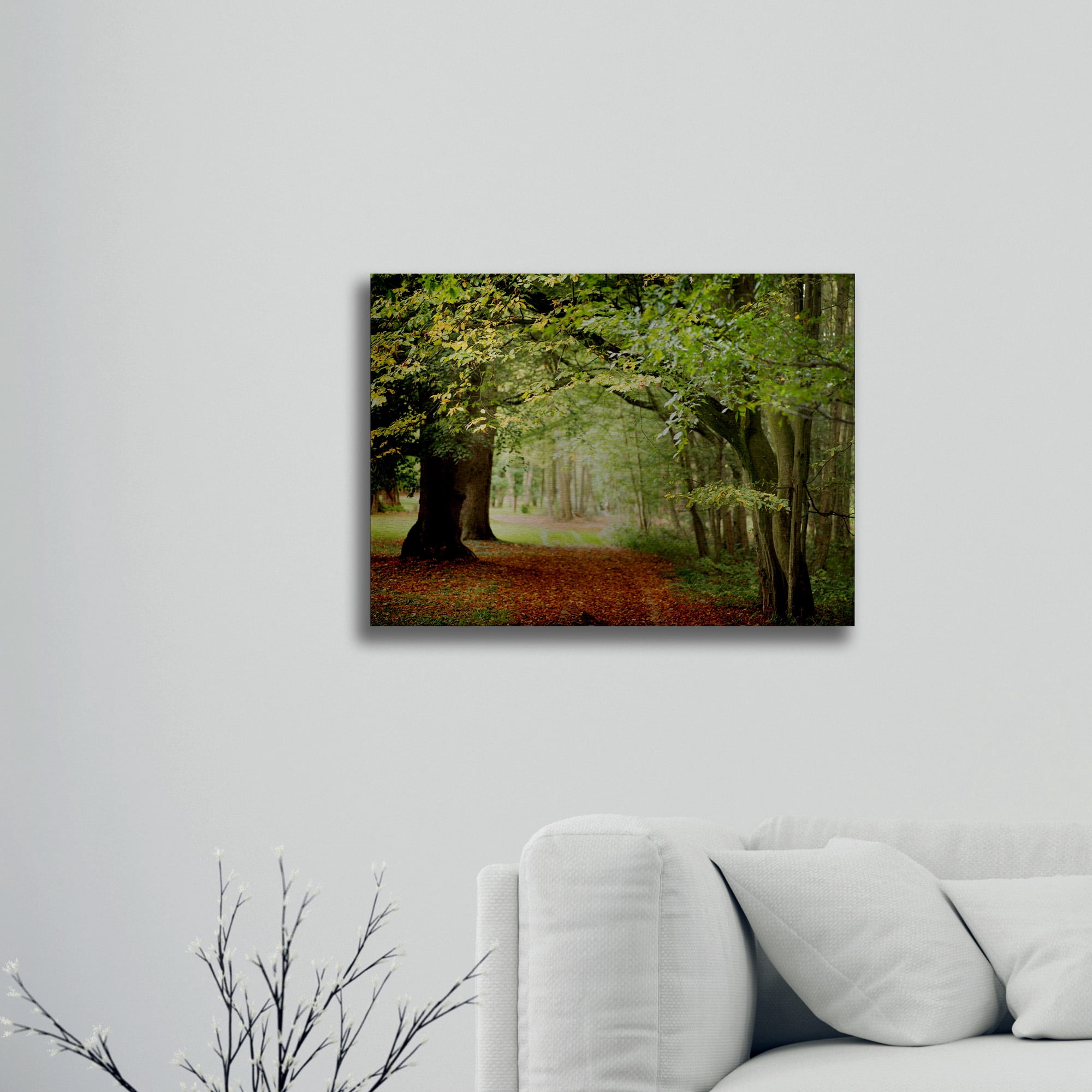 Trademark Fine Art 'Through the Woods' Brushed Aluminum Wall Art Art by Philippe Sainte-Laudy