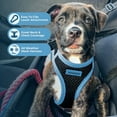 thumbnail image 5 of Voyager Step-In Air Dog Harness - All Weather Mesh Step in Vest Harness for Small and Medium Dogs by Best Pet Supplies - Blue Trim, XS, 5 of 7