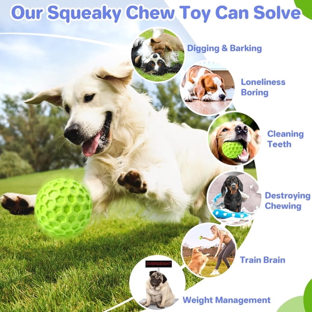 Pelotas Para Perro Dingo Juguetes Pelota Para Perro Dingo Nubby – Totalmente Rellena De Goma, Con Cascabel Y Cuerda De 100 Cm – Ideal Para Lanzar, Deportes Caninos, Agilidad Y Juego