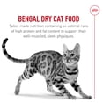 thumbnail image 4 of Feline Breed Nutrition Persian Adult Dry Cat Food - Dry Cat Food, 4 of 5