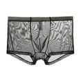 thumbnail image 5 of Men Boxer Underwear Summer Ultra Thin Perspective Mesh Yarn Shorts Briefs Mid-rise U-Convex Panties, 5 of 8