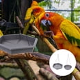 thumbnail image 1 of WRISTBIQUE 1 Set Bird Feeder Platform Grey Simple Structure for Wild Birds Feeding, 1 of 8