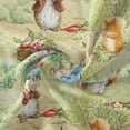 The Peter Rabbit Library Peter Rabbit 100% Cotton Garden, Multi-color, 18