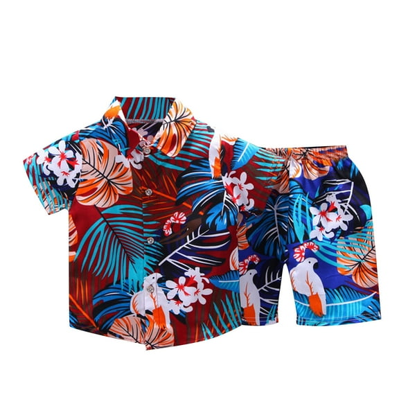 Qingpeng Toddler Boy's Set Colorblock Button Down Collar Neck Short Sleeve Shirt Shorts