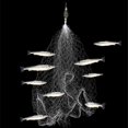 thumbnail image 4 of 1pc Sticky Fishing Net Wire Method Carp Fishing Feeder Spring Lead Sinker Throwing, 4 of 5