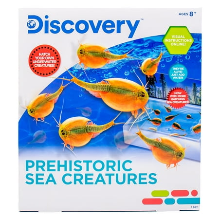 Discovery Hatch Your Own Prehistoric Sea Creatures