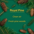 thumbnail image 5 of Little Trees Air Fresheners Royal Pine Fragrance 3-Pack, 5 of 12