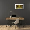 thumbnail image 3 of Goncalves, Adelino 24x15 White Modern Wood Framed Museum Art Print Titled - Colors of Autumn, 3 of 4