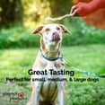 thumbnail image 6 of Peppy Pooch Turkey Tendon Twists – 8 oz Bag. Made in USA., 6 of 6