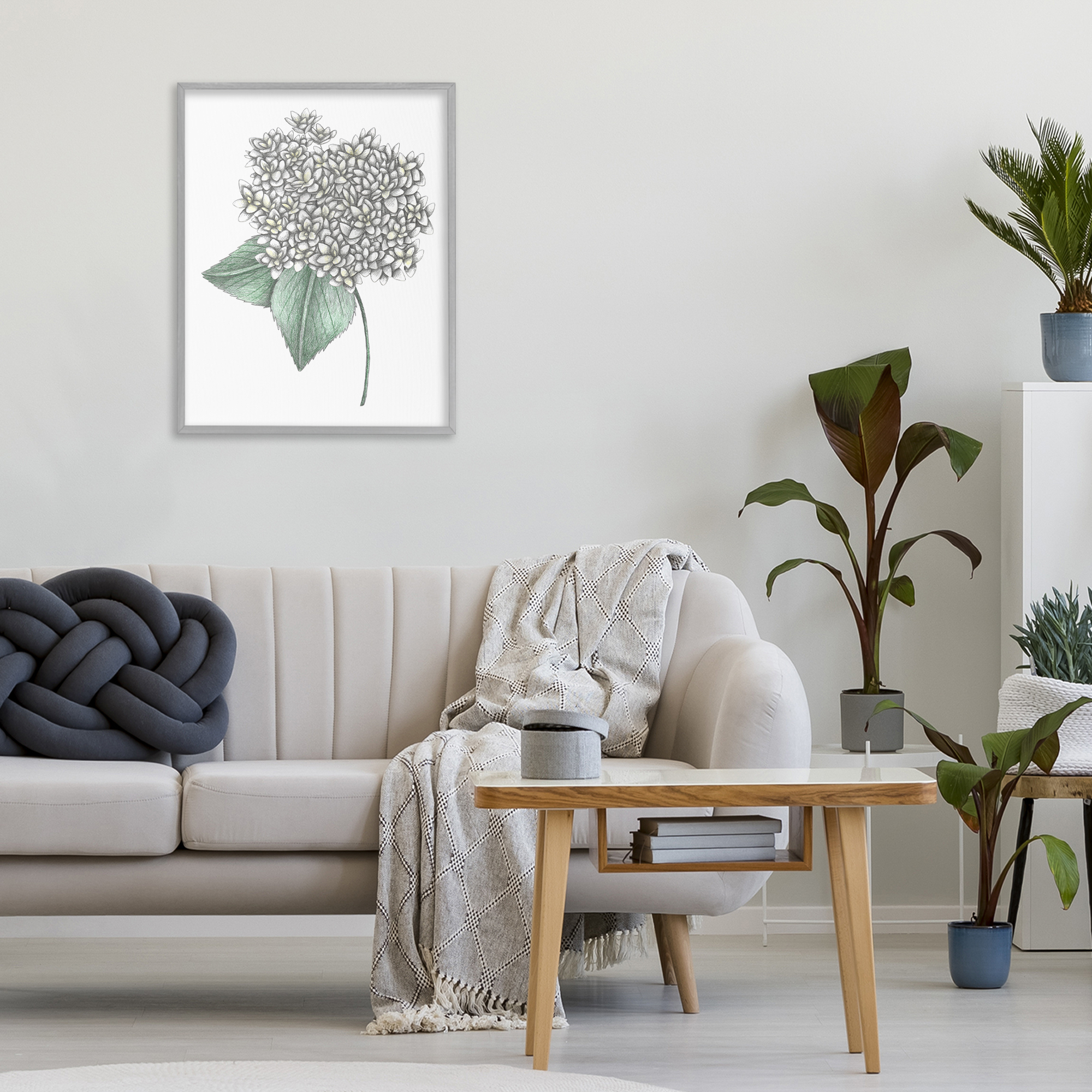 White Hydrangea Sketch Blossom Gray Framed Giclee Art, design by Cecilia Battaini