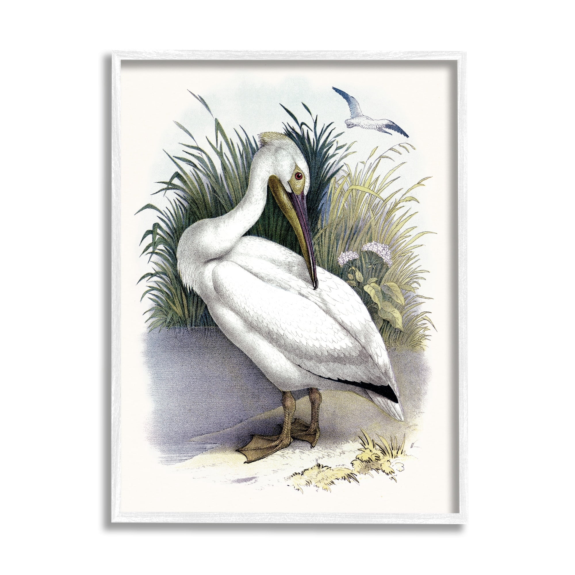 Stupell Industries White Pelican Bird Preening Grassy Riverbank Shore Painting White Framed Art Print Wall Art, Design by Piddix