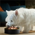 thumbnail image 5 of Cesar Classic Loaf in Sauce Grilled Chicken Wet Dog Food, 3.5 oz Easy Peel Tray, 5 of 12