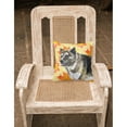 thumbnail image 2 of Carolines Treasures BB9930PW1818 American Akita Fall Fabric Decorative Pillow  18H x18W multicolor, 2 of 2