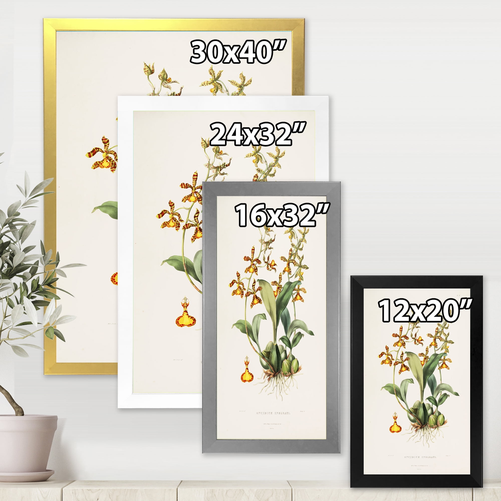Designart 'Ancient Flower I' Traditional Framed Art Print