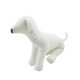 thumbnail image 1 of Maniquíes de cuero PU para perros, maniquí de exhibición de ropa para mascotas, suministros para mascotas, modelos para perros Talla L Blanco Sunnimix Maniquí de perros, 1 of 8