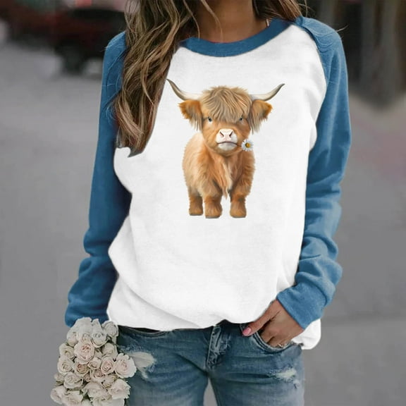 Fznquz Blue Womens Sweatshirts Cute Casual Fall Winter Sweatshirt Funny Animal Print Crewneck Long Sleeve Womens Fashion