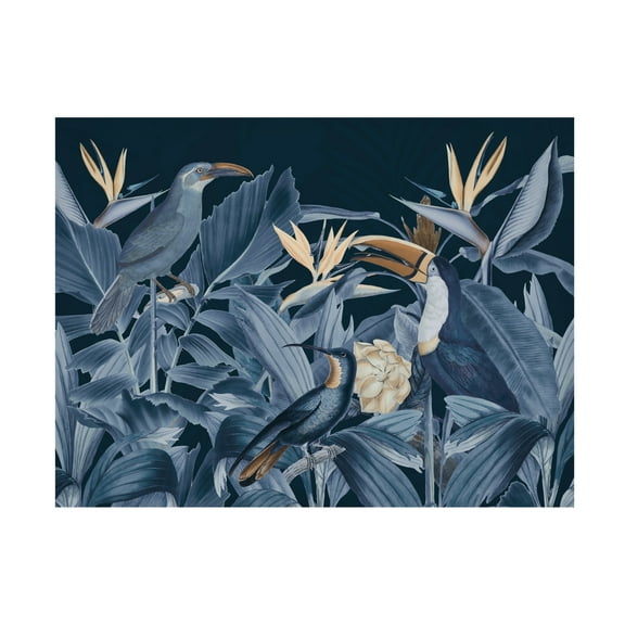 Trademark Fine Art Andrea Haase Rainforest Birds Blue Canvas Wall Art