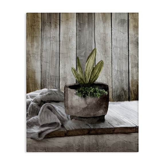 Stupell Industries Farmhouse Potted Plant Still Life Canvas Art, 24 x 30, by Kim Allen