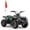 ER-Green_02, variant on Arshin 36V Electric 4-Wheeler ATV - Twist-Grip Variable-Speed Acceleration Control, Hand-Operated Disc Brake,Age 13+