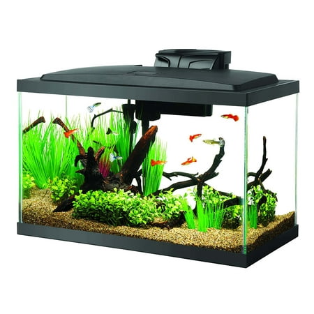 Aqueon Aquarium Starter Kit, 10 Gallon Glass Fish Tank, LED Lighting, Filter and Heater