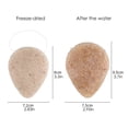 thumbnail image 2 of Walnut Powder Natural Konjac Facial Exfoliating Sponge Cleansing Puff, Skincare Lotion, 2 of 2