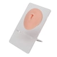 thumbnail image 1 of Silicone Navel Model, 3D Simulation Belly Button Model for  Practice,  Soft Silicone Belly Model for Jewelry Studs Display Acupuncture Teaching, 1 of 8