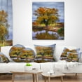 thumbnail image 4 of Designart Willow Near Pond - Landscape Photography Throw Pillow - 18x18, 4 of 5