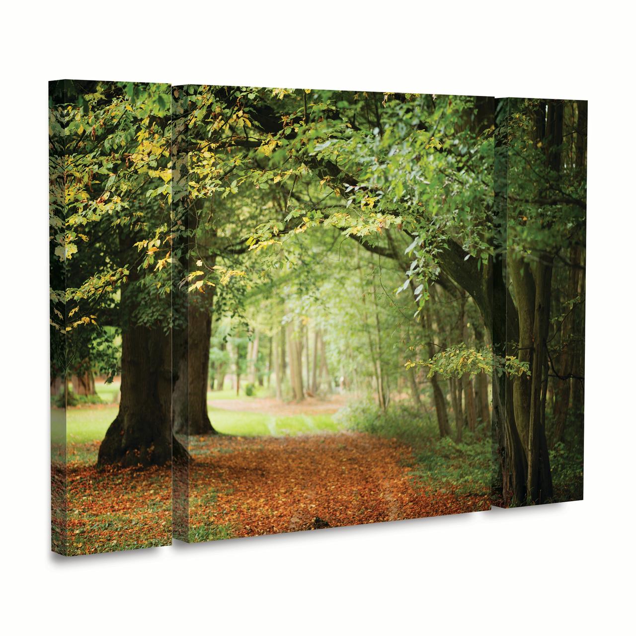 Trademark Fine Art 'Through the Woods' Canvas Art by Philippe Sainte-Laudy