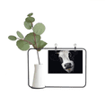 thumbnail image 1 of Black Observation Horn Dairy Cow Metal Picture Frame Cerac Vase Decor, 1 of 3